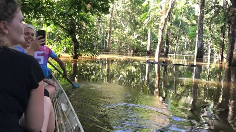 Depuis Manaus : Expérience d'une journée dans la jungle amazonienne