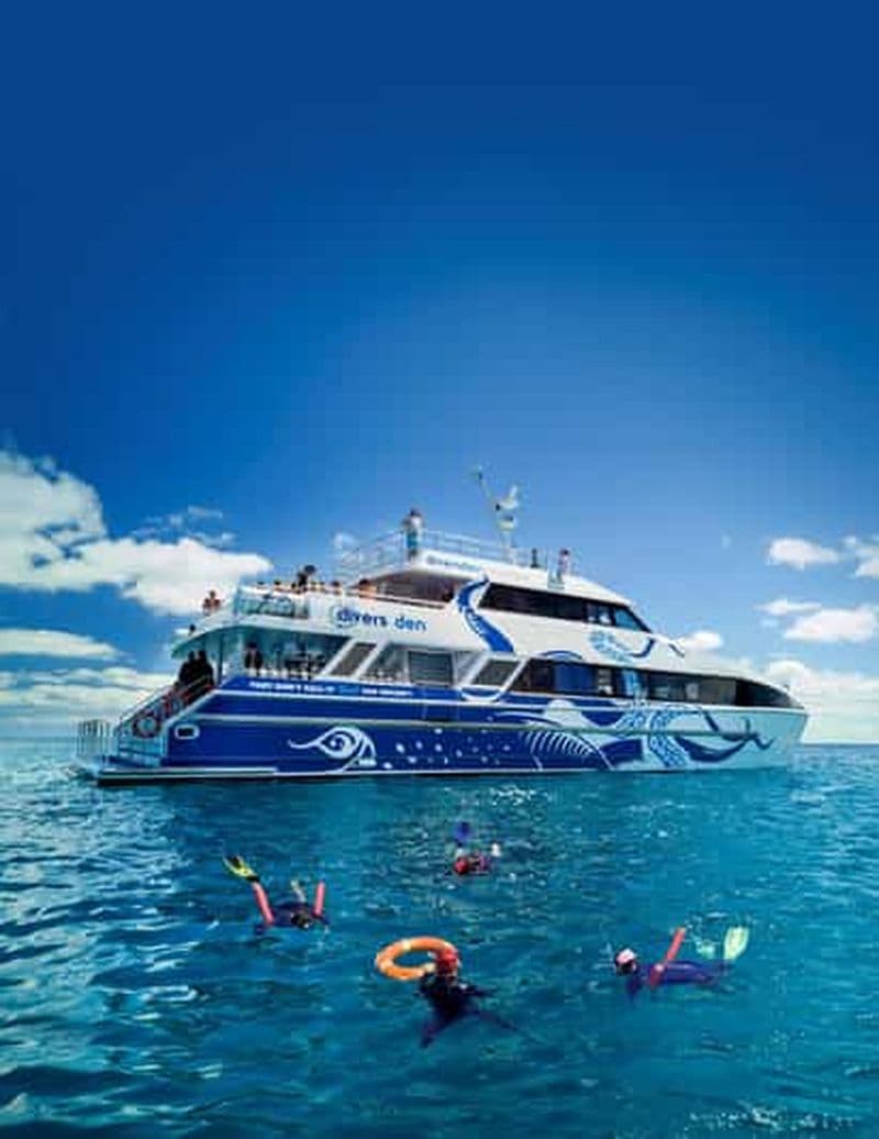 Billet Cairns : excursion premium d'une journée pour la plongée et le snorkeling sur le récif