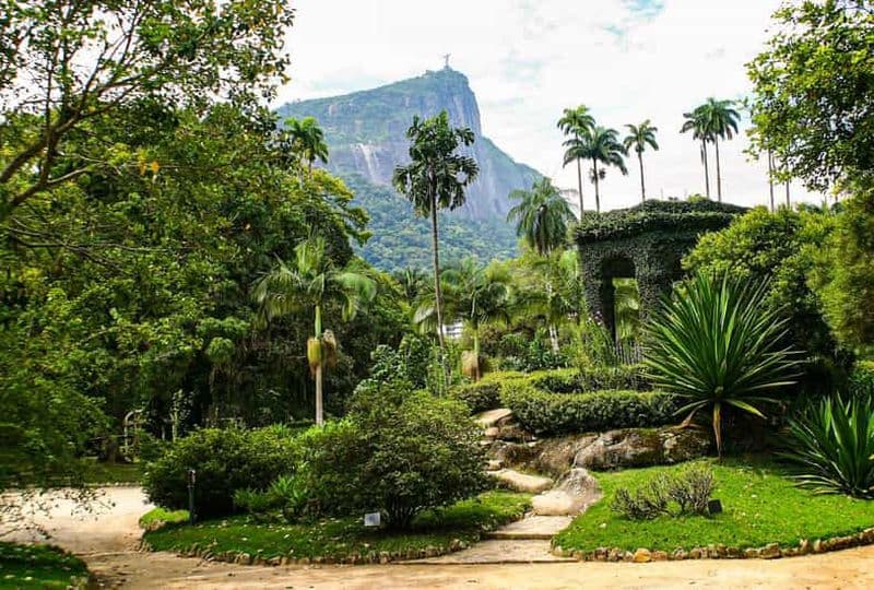 Rio de Janeiro : Visite guidée du jardin botanique
