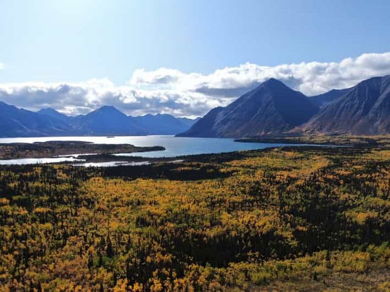 Billet Whitehorse : Kluane - Faune et panoramas