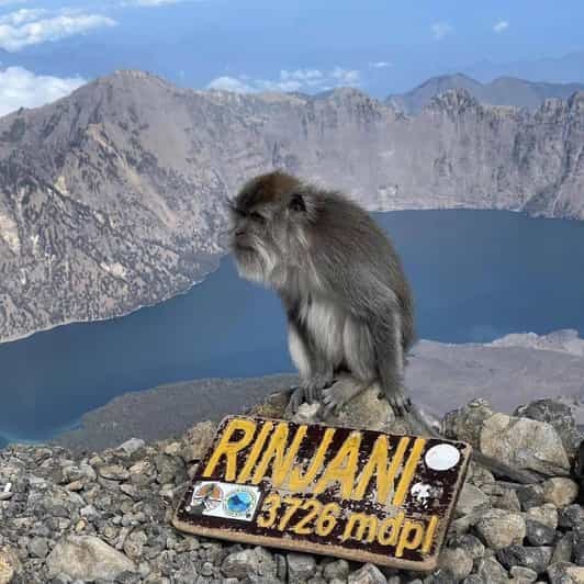 Trek au sommet du mont Rinjani via Sembalun, 2 jours/1 nuit