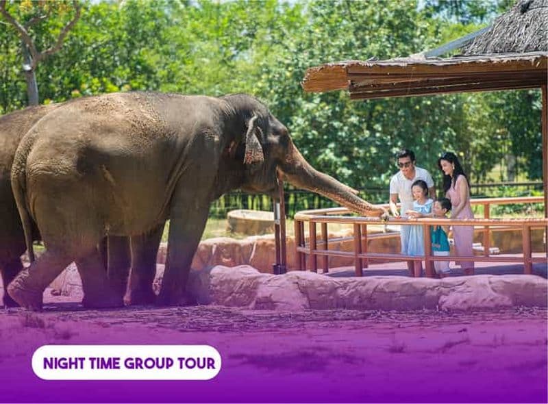 Safari fluvial dans le sud de Hoi An avec dîner aux chandelles sur la plage