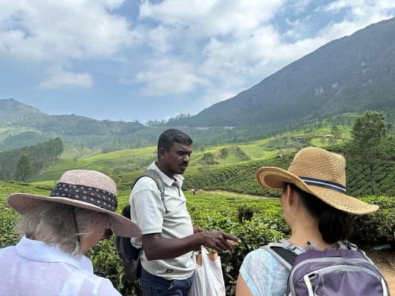 Billet Munnar : Sentier du Thé, Usine de Thé et Visite de Dégustation de Thé