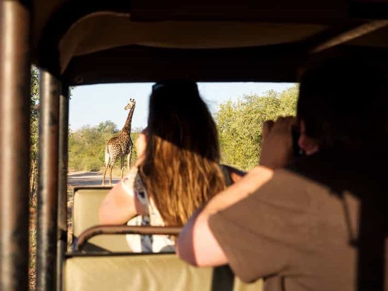 Depuis Johannesburg : Safari de 3 jours sous tente dans le parc Kruger
