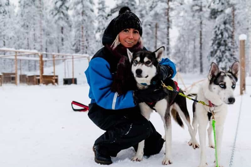 Rovaniemi : aventure en husky Apukka de 7 km, en autonomie