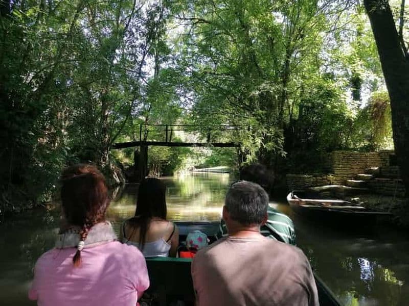 Marais Poitevin : Journée découverte sur les traces du Baudet