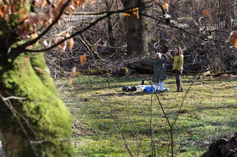 Skåne : randonnée guidée dans le parc national avec déjeuner près de Lund