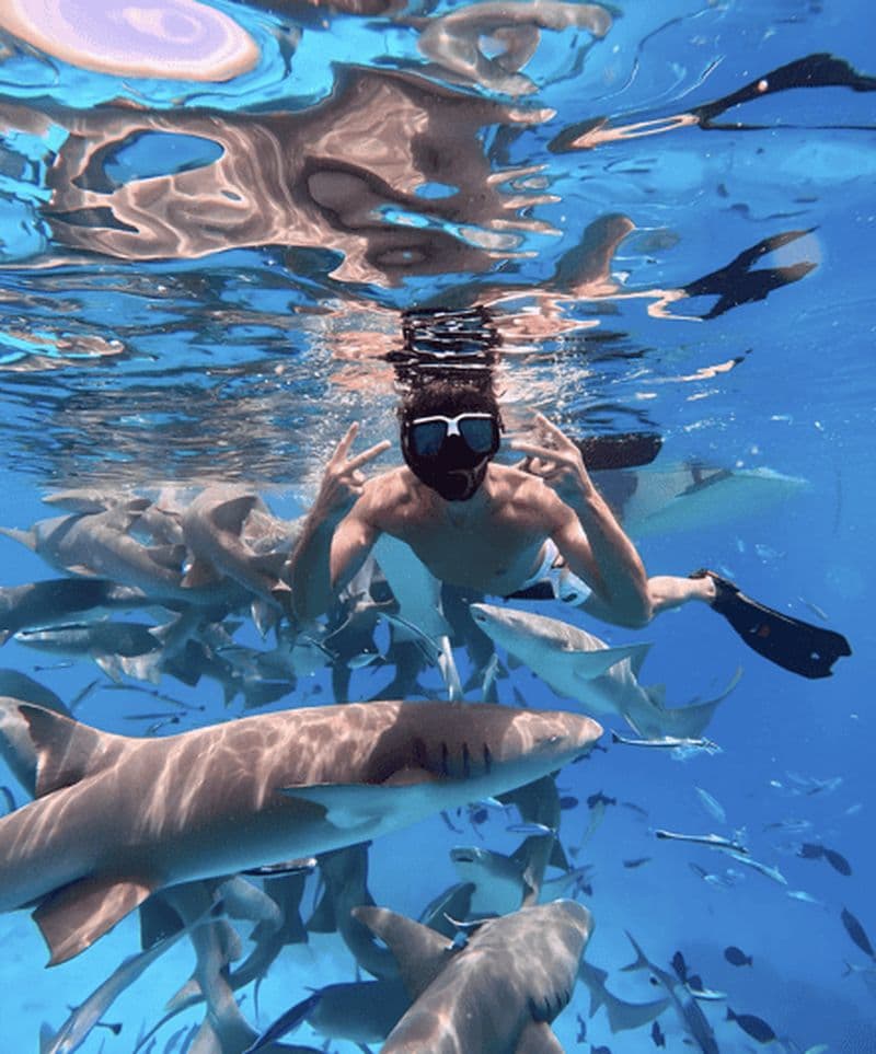 Maafushi : requins-nourrices, raies pastenagues, bancs de sable et dauphins