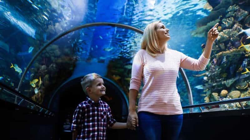Antalya : Billets d'entrée pour l'aquarium et le musée de cire