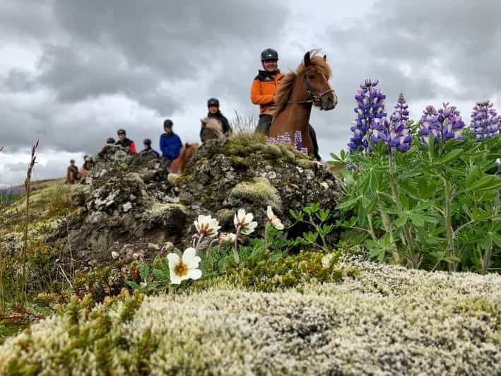 Reykjavik : Visite en petit groupe à cheval sur le volcan avec prise en charge