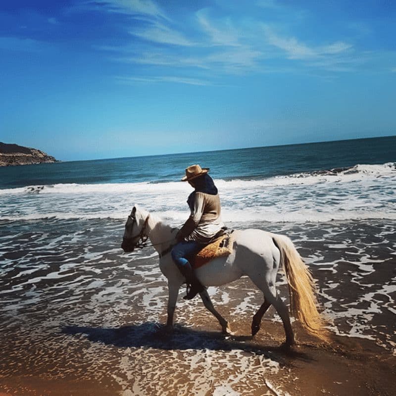 Excursion d'une journée en Algérie : plongée avec tuba et équitation avec déjeuner