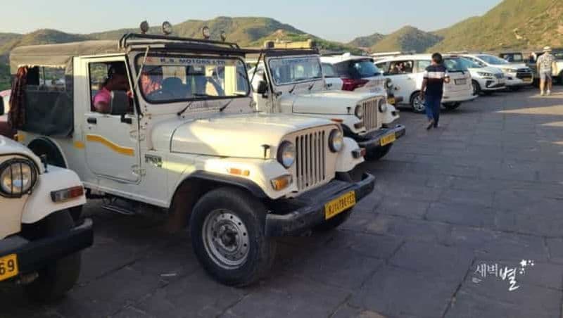 Billet Parc national de Ranthambore : billet de safari avec option de prise en charge