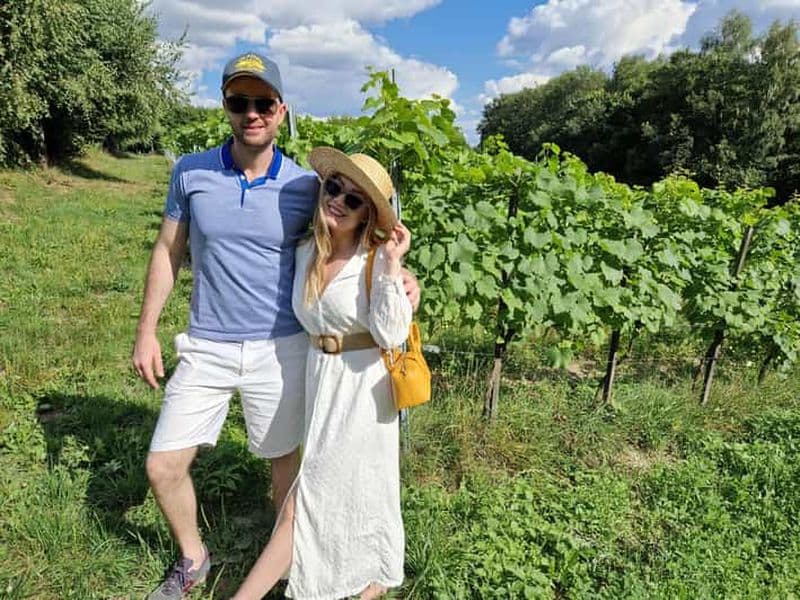 De Cracovie : Dégustation de vins dans un vignoble