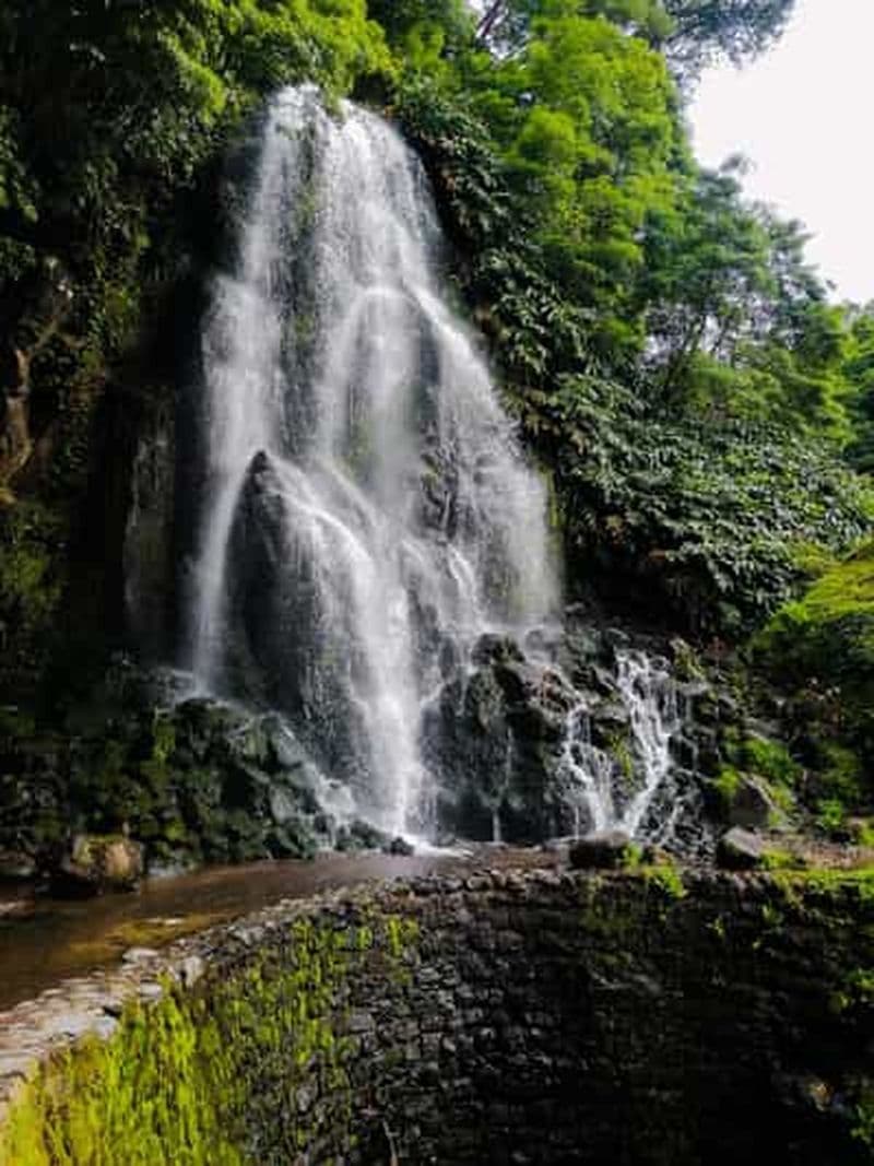 Exploration de la "dixième île" Journée complète dans le Nordeste en SUV