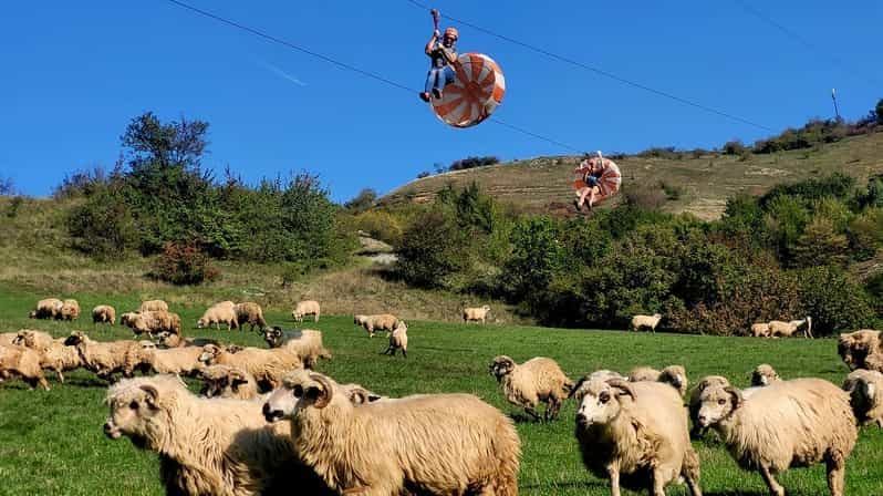 Cluj : Excursion d'une journée pour des activités de plein air avec tyrolienne et randonnée