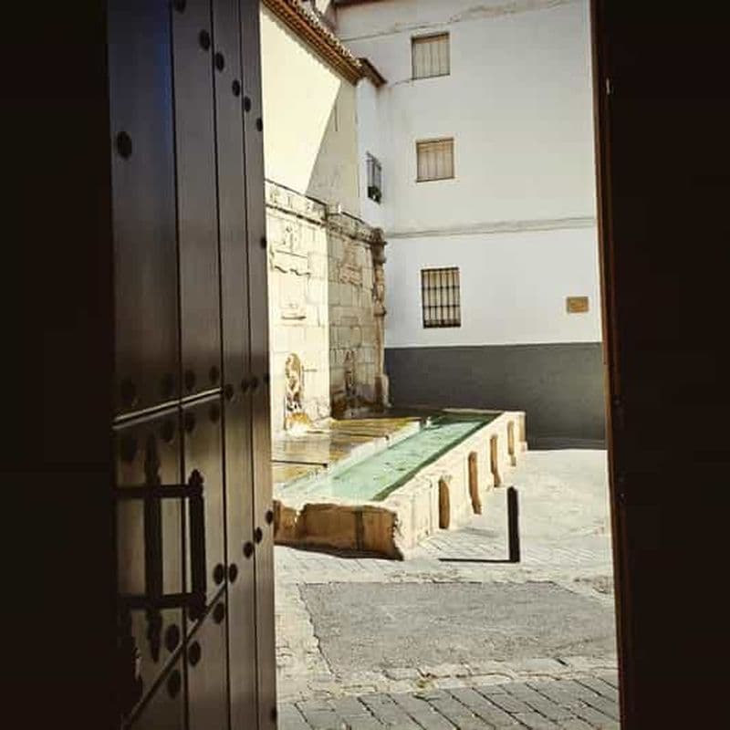 Billet Jaén : Visite, cathédrale, arc de San Lorenzo et quartier juif