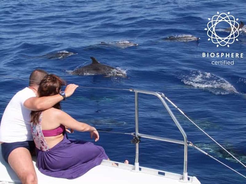 Funchal : Cabo Girão, dégustation de vins et observation des dauphins