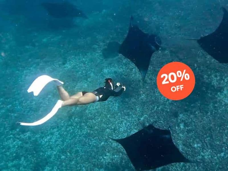 Billet Depuis Bali : Plongée avec tuba à Manta Point Nusa Penida et excursion terrestre