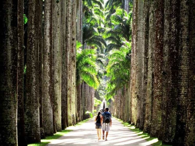 Rio de Janeiro : Visite guidée du jardin botanique et du Parque Lage