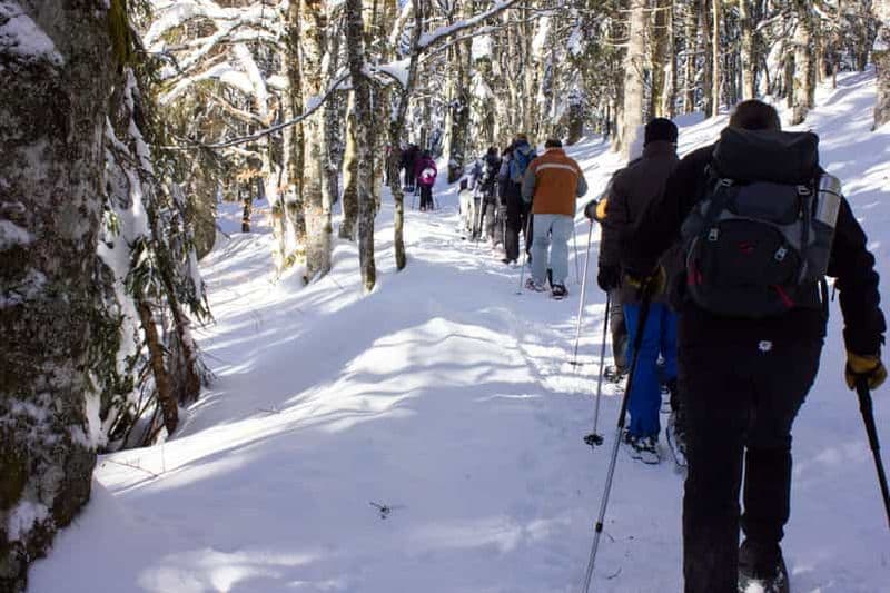 Feldberg : Visite guidée en raquettes à neige dans la Forêt-Noire