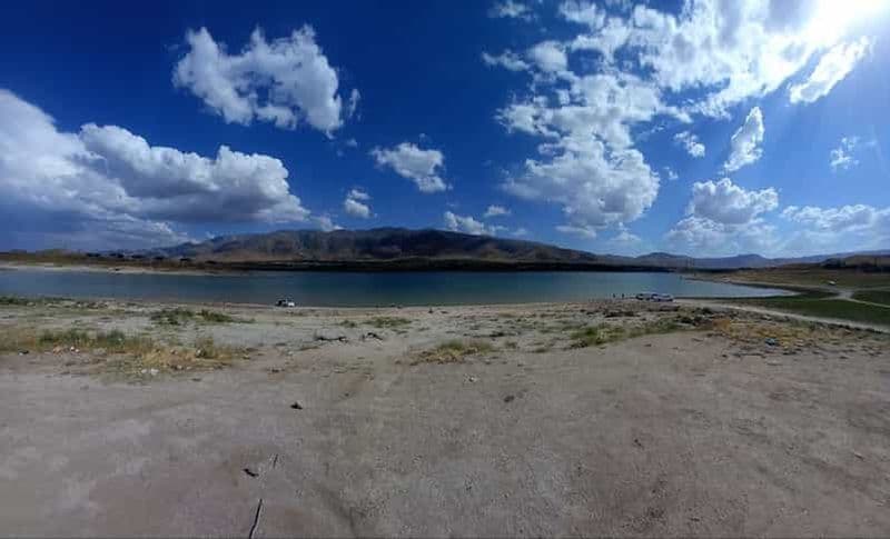 Observation des oiseaux à Samarcande