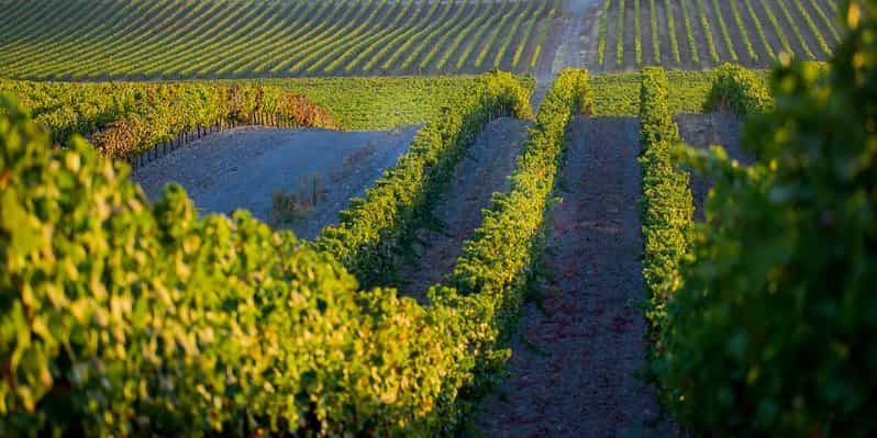 Safari de 2h à Cork dans une Land Rover classique