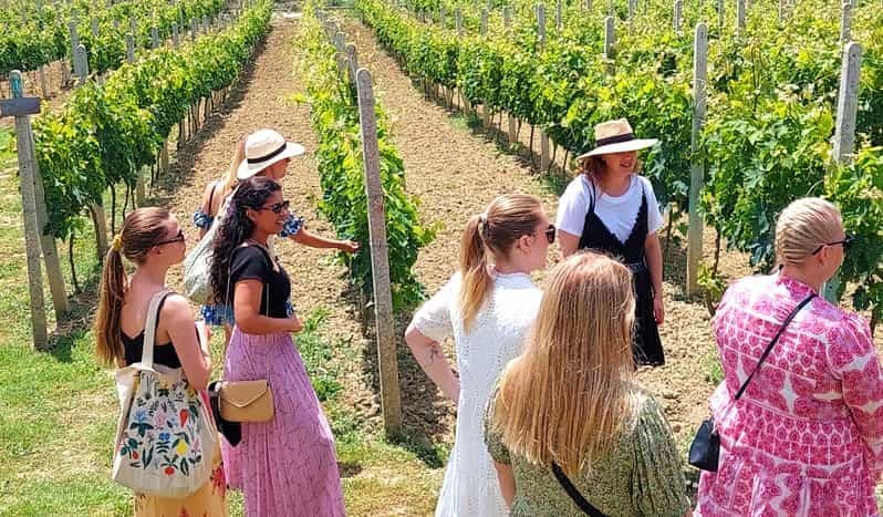 Dégustation de vin et accords mets-vins dans les vignobles de la campagne de Durres