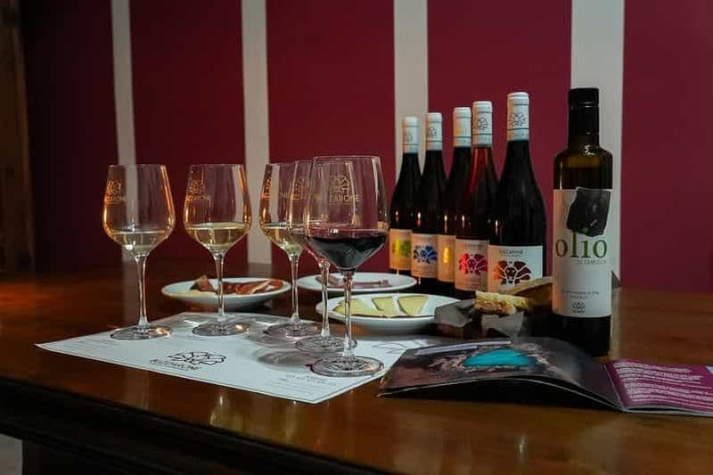 Découvrez les Abruzzes et Castelferrato : visite des vignobles et dégustation de vins.