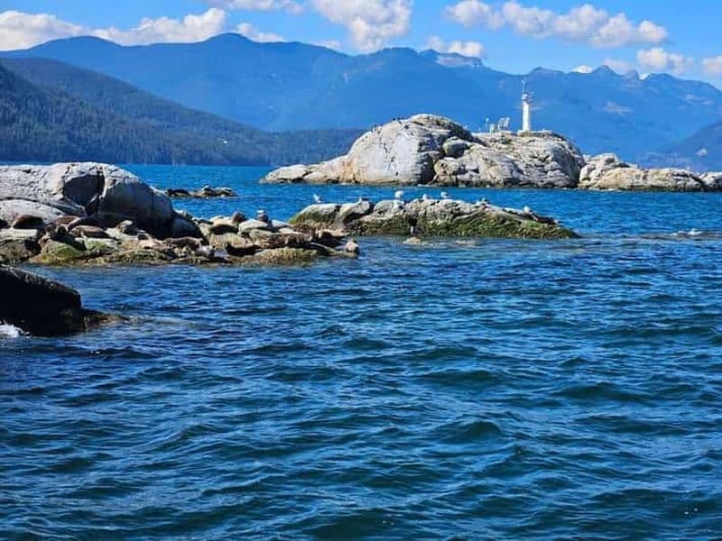 Vancouver : Tour en bateau de plongée en apnée, de kayak et d'aventure avec les phoques