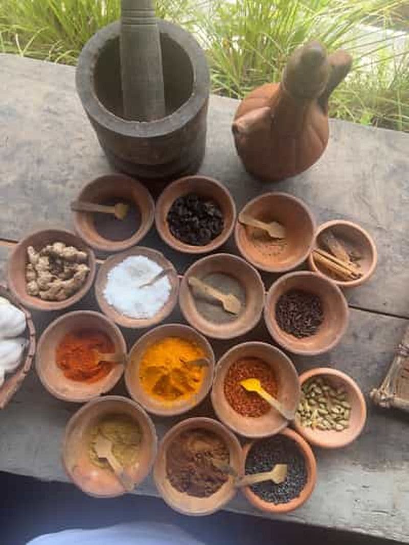 Observation des oiseaux des zones humides de Talangama et expérience du village local