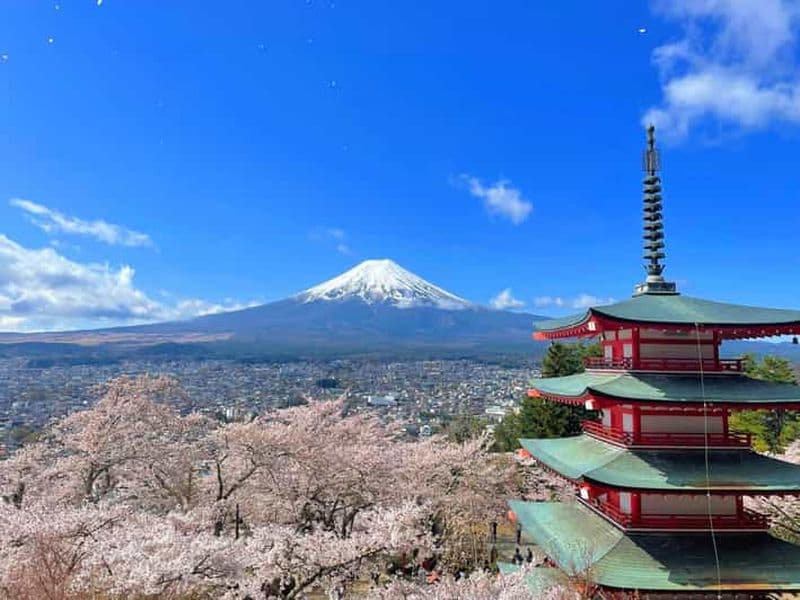 Billet Tokyo : Mont Fuji, croisière sur le lac et préparation de nouilles