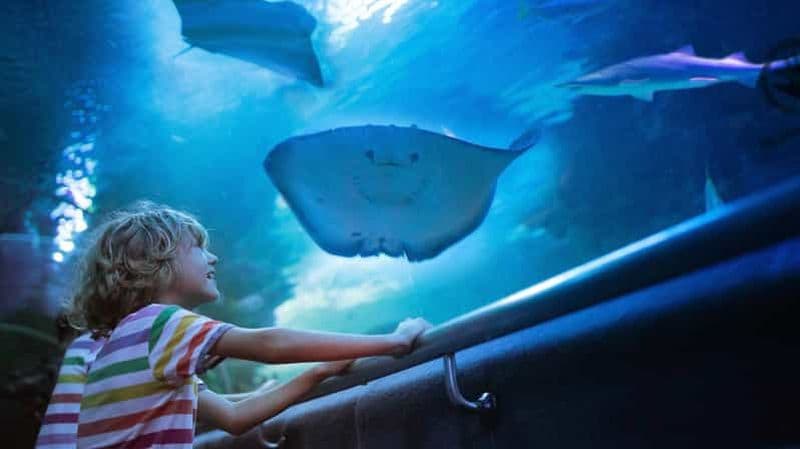 Antalya : visite guidée de la vieille ville avec aquarium