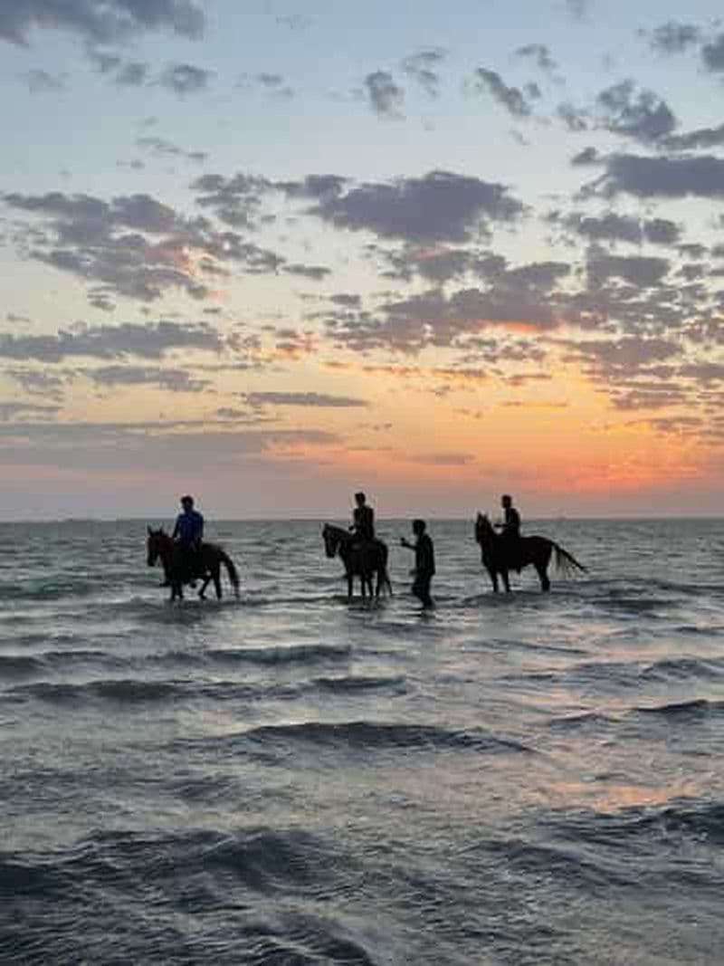 Djeddah : balade à cheval guidée