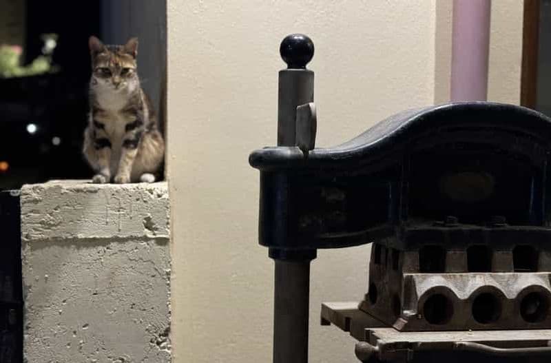 Chasse au trésor à Rethymno : Pirates, nourriture, alcool et trésors