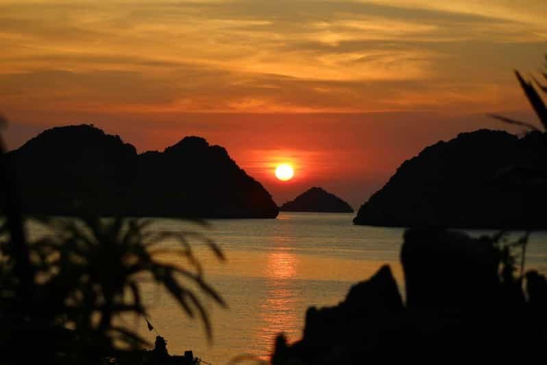 Baie de Lan Ha : excursion en kayak et plancton bioluminescent
