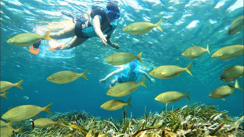 Île de Tabarca : excursion guidée de plongée avec tuba