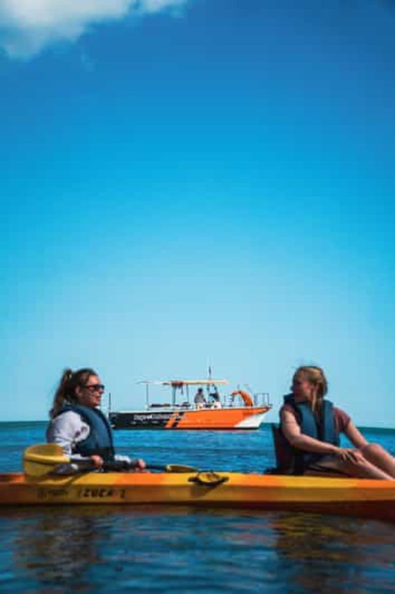 Depuis Lagos : visite des grottes de Ponta da Piedade en kayak à bord d'un catamaran