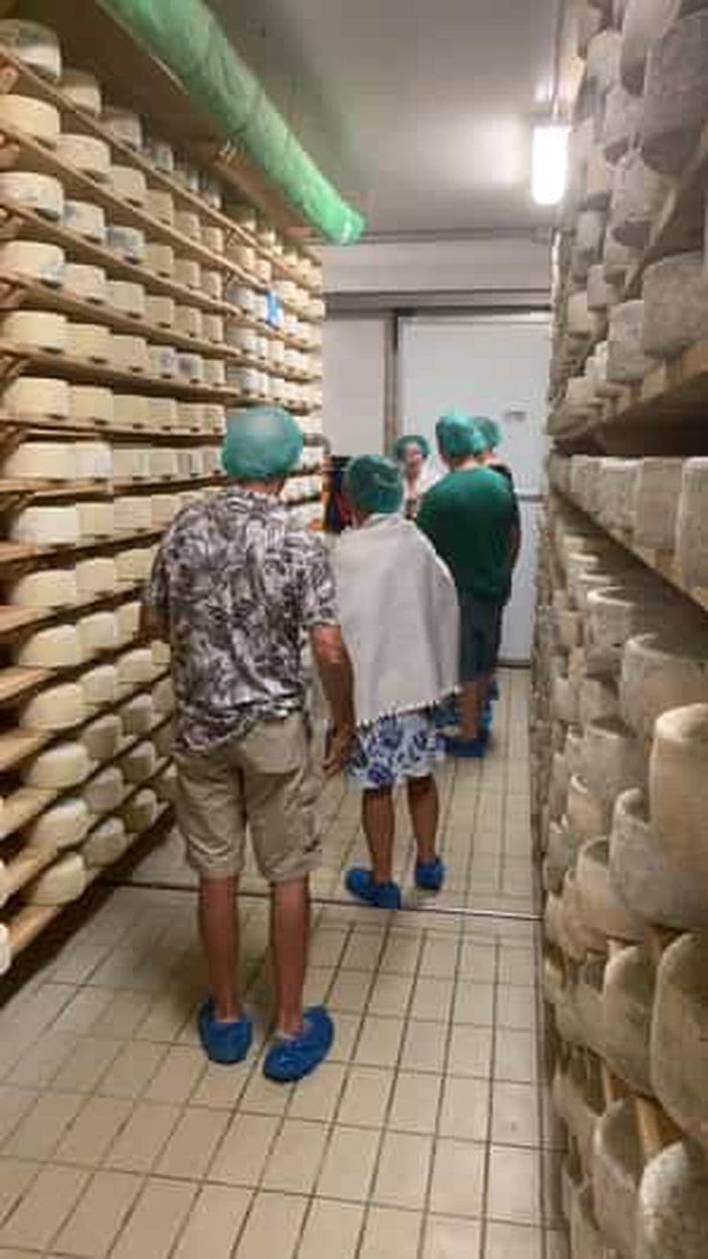 Visite privée d'une jounée des fromages et des gins dans les collines de Prosecco