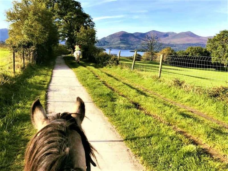 Kerry : Visite guidée à cheval dans le parc national de Killarney