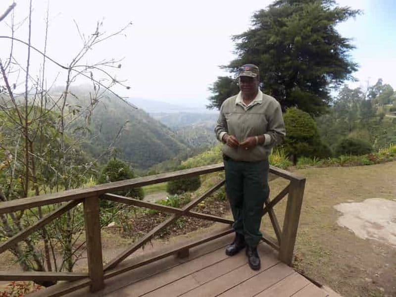 Au départ de Kingston : Randonnée et visite du café de Blue Mountain