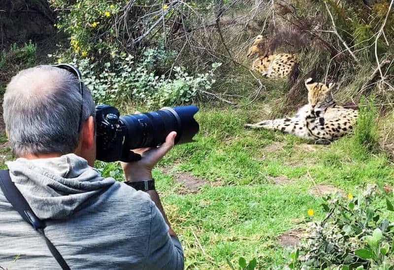 Plettenberg Bay : Visite guidée privée pour la photographie de la faune et de la flore