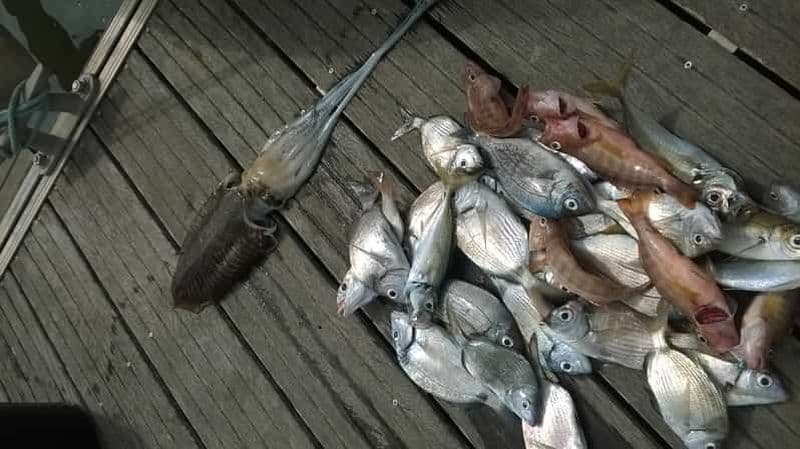 Lagos : Voyage de pêche en famille