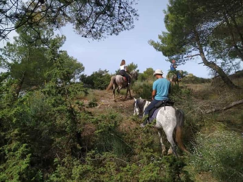 Balade à cheval dans la campagne de Gjinofshat