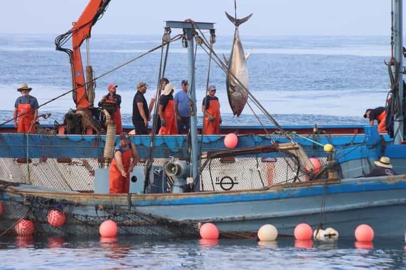 Barbate : Tour en bateau à l'Almadraba de Conil (pêche au thon)