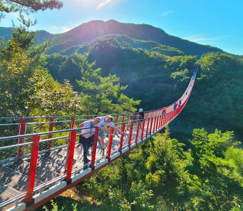 Séoul : DMZ, 3e tunnel et pont suspendu (en option)