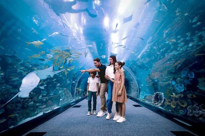 Dubaï : Aquarium et zoo sous-marin