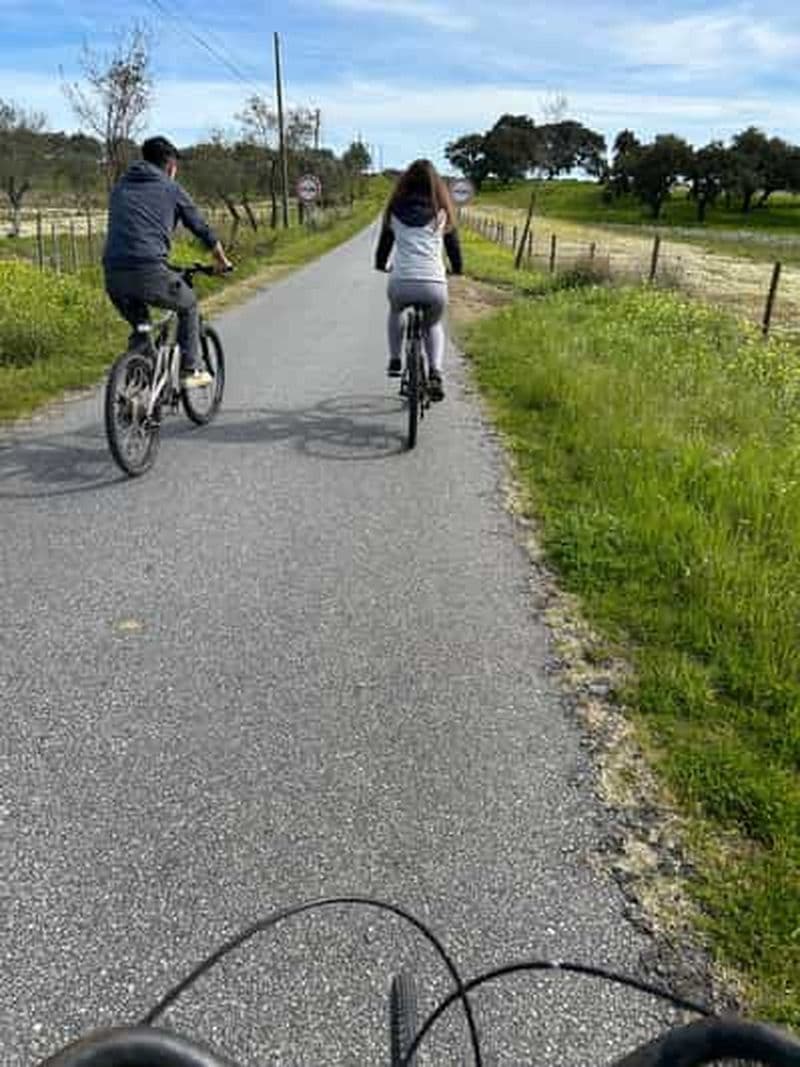 Alentejo : circuit à vélo dans le Montado avec guide et transfert