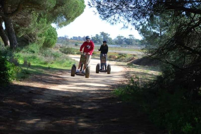 Faro : Visite en Segway du parc naturel de Ria Formosa et observation des oiseaux