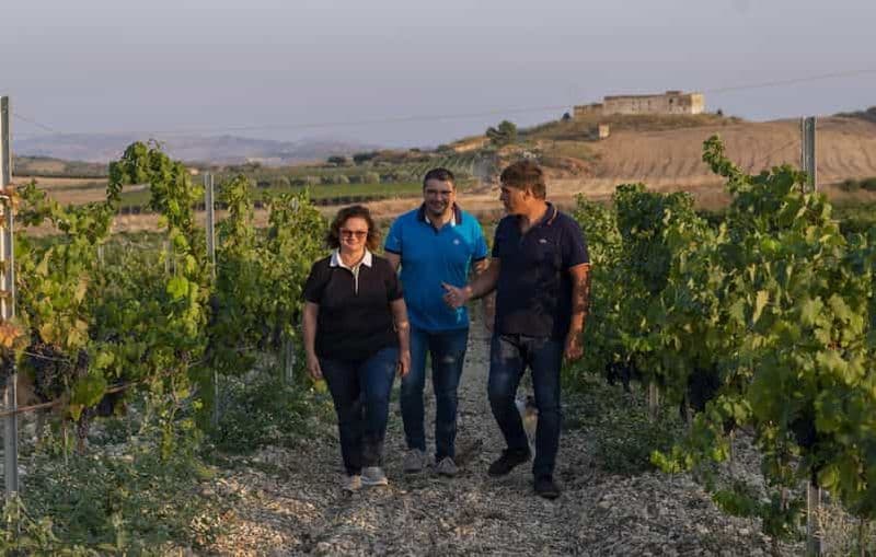 Dégustation de vins EVO et d'huile d'olive dans la campagne d'Agrigente