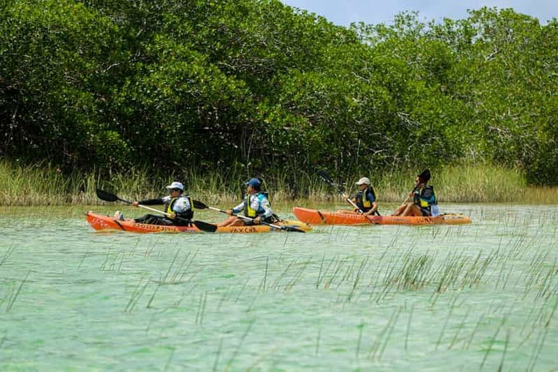 Billet Tulum : Excursion en kayak dans la réserve de biosphère de Sian Ka'an
